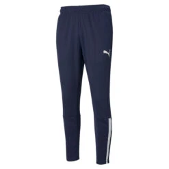 PUMA Mens TeamLIGA Training Football Pants