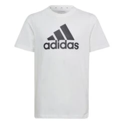 ADIDAS Essentials Big Logo Cotton Tee 22 ADIDAS Essentials Big Logo Cotton Tee -Sportswear Store ka21c4c79d404155137571ee13e6edb9c