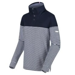Regatta Womens/Ladies Camiola Funnel Neck Sweater (Navy Stripe)